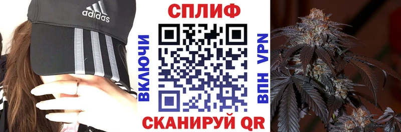 Купить закладки  Гай  Бошки Шишки планчик 